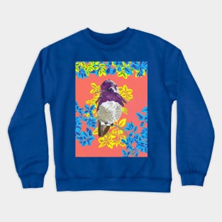 Costas Hummingbird Crewneck Sweatshirt